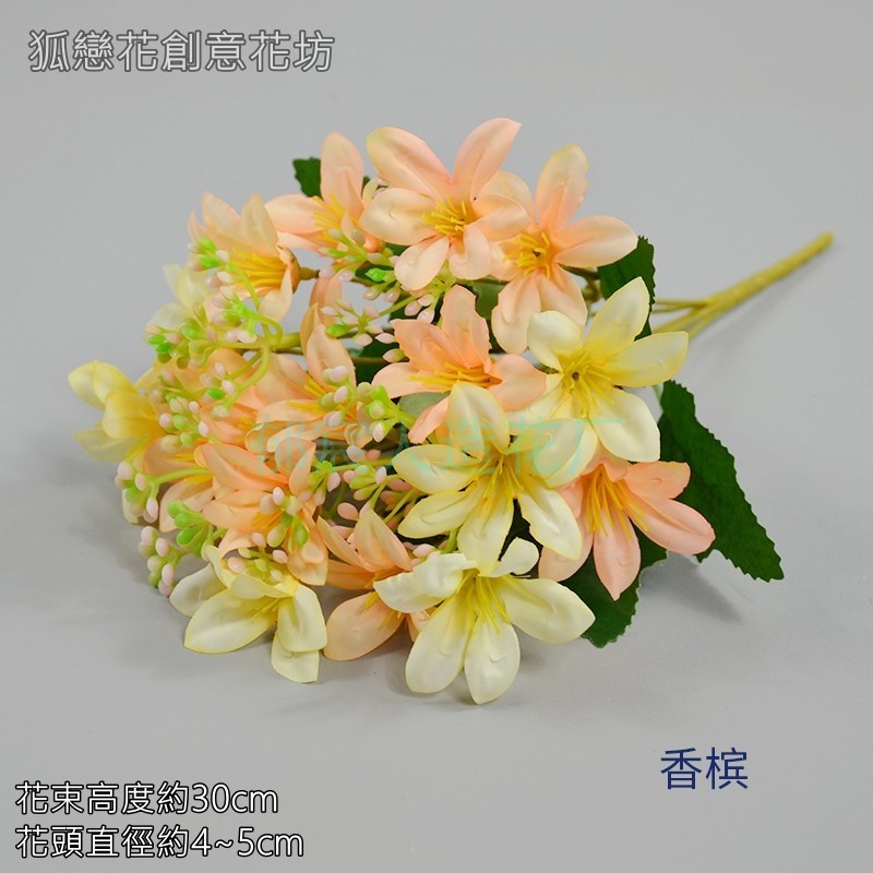 18頭迷你油畫百合❰香檳❱