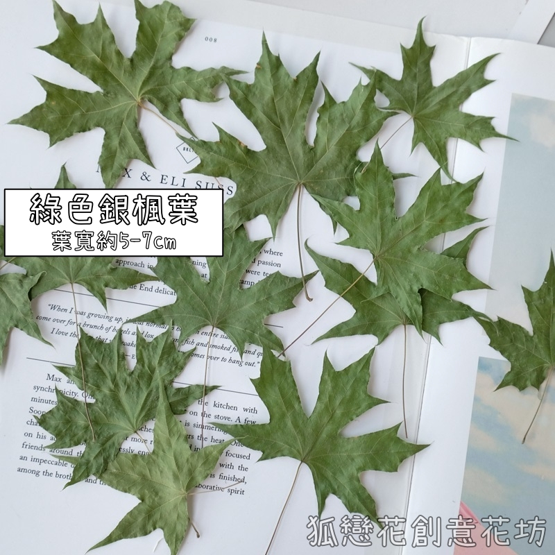 ❰綠色❱銀楓葉(5片)