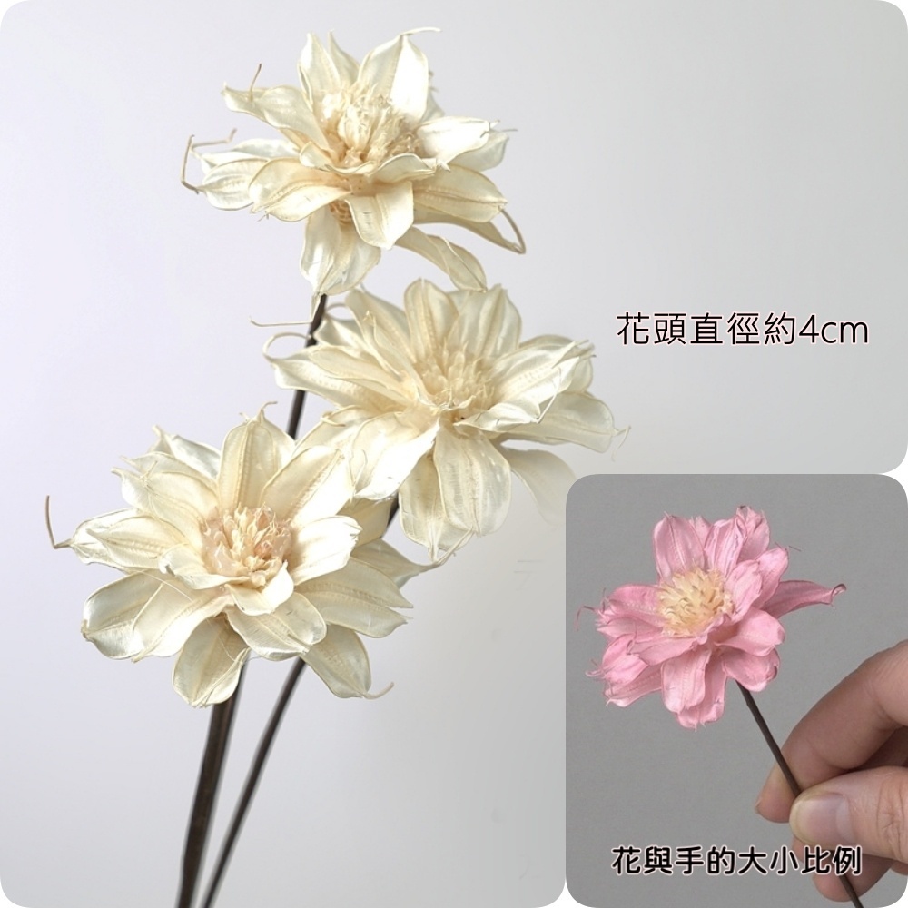 ❰米白❱雲茶花3朵,本頁面僅花頭不帶桿