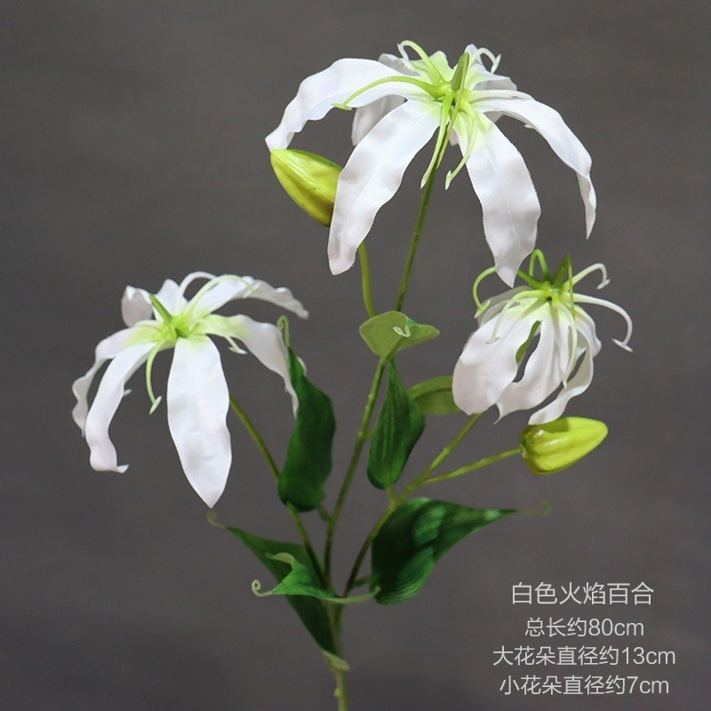 3頭火焰百合❰白色❱