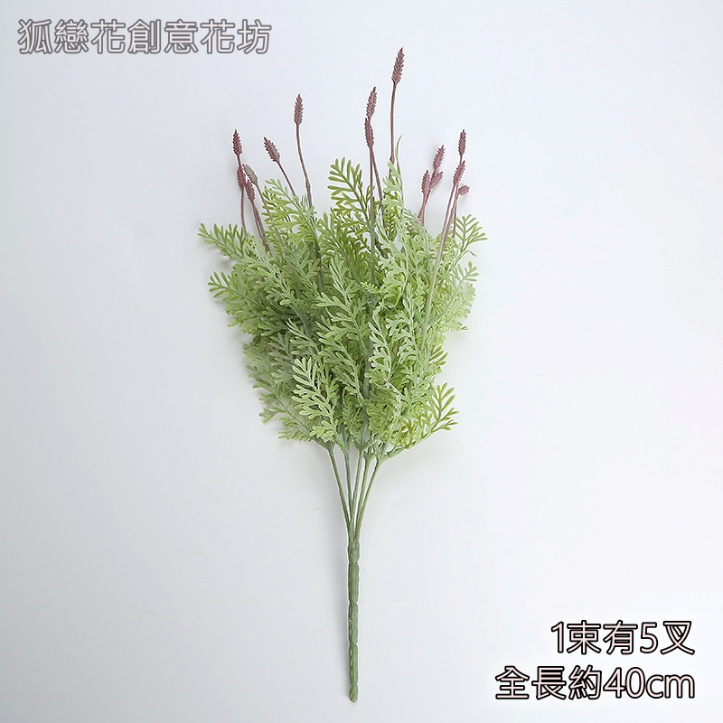 蕨葉薰衣草(紅),🦊~賣場商品眾多，歡迎參觀選購~🦊
