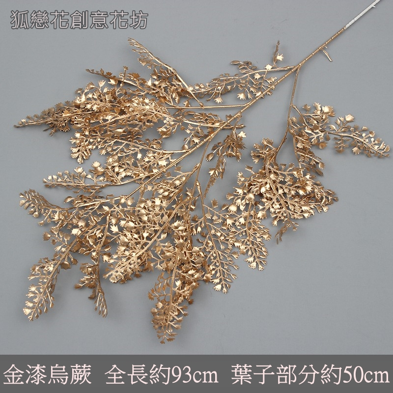 (金漆)烏蕨,🦊~賣場商品眾多，歡迎參觀選購~🦊