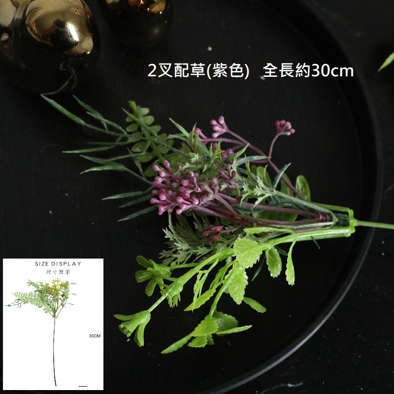 2叉配草(紫色),🦊~賣場商品眾多，歡迎參觀選購~🦊