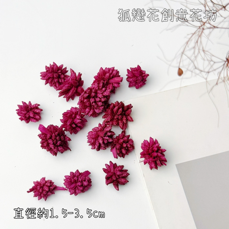 ❰紅色❱叢星果(3顆),🦊~賣場商品眾多，歡迎參觀選購~🦊