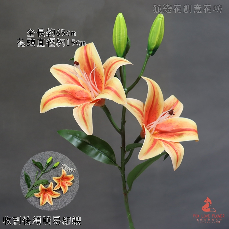 2頭百合❰夕陽橘❱,🦊~賣場商品眾多，歡迎參觀選購~🦊