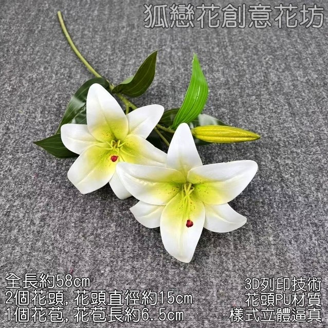 2頭長枝百合❰白綠❱綠色花苞