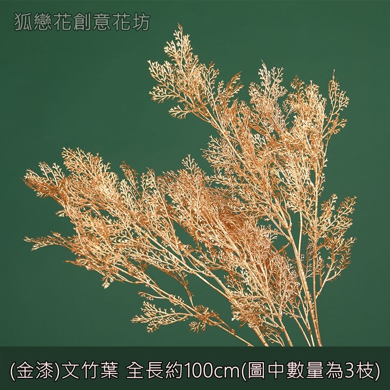 (金漆)文竹葉,🦊~賣場商品眾多，歡迎參觀選購~🦊