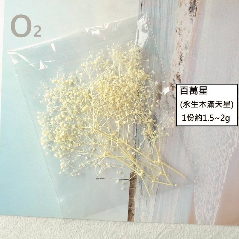 ❰米黃❱百萬星(1份),份量請以選項為主