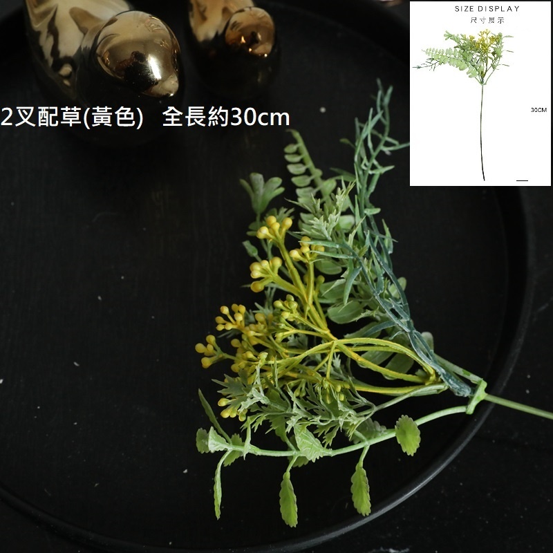 2叉配草(黃色),🦊~賣場商品眾多，歡迎參觀選購~🦊