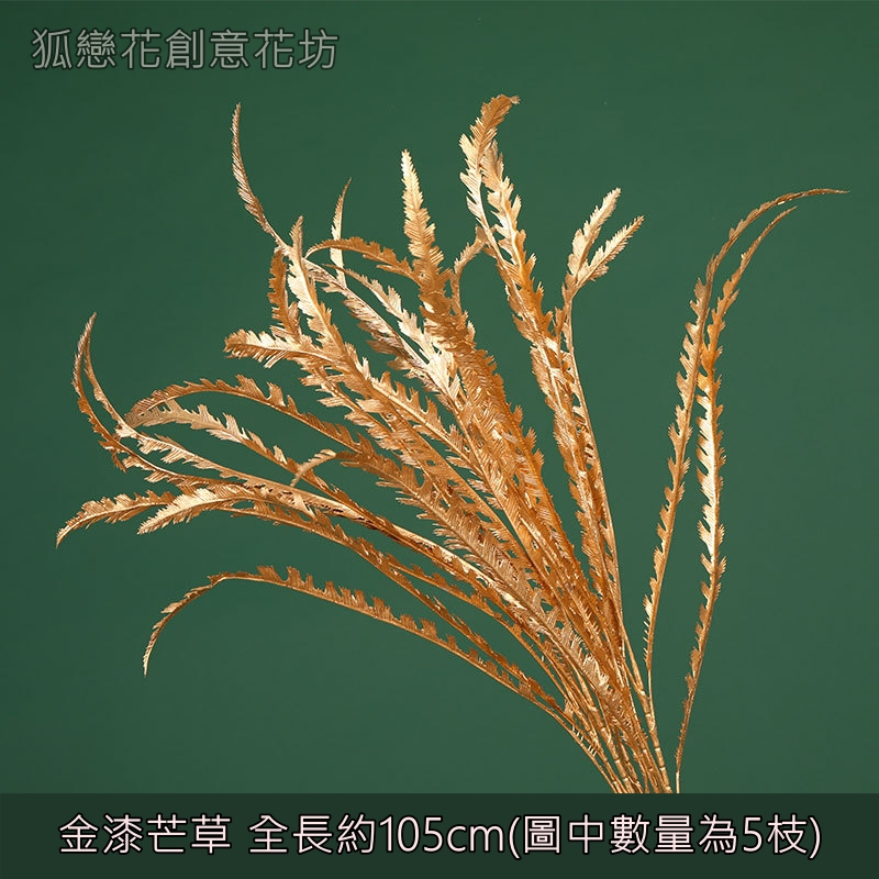 (金漆)芒草,🦊~賣場商品眾多，歡迎參觀選購~🦊