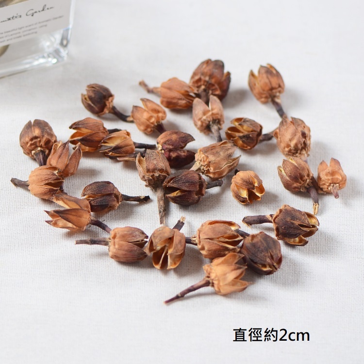 ❰原色❱木槿果殼(10個),本頁面僅花頭不帶桿