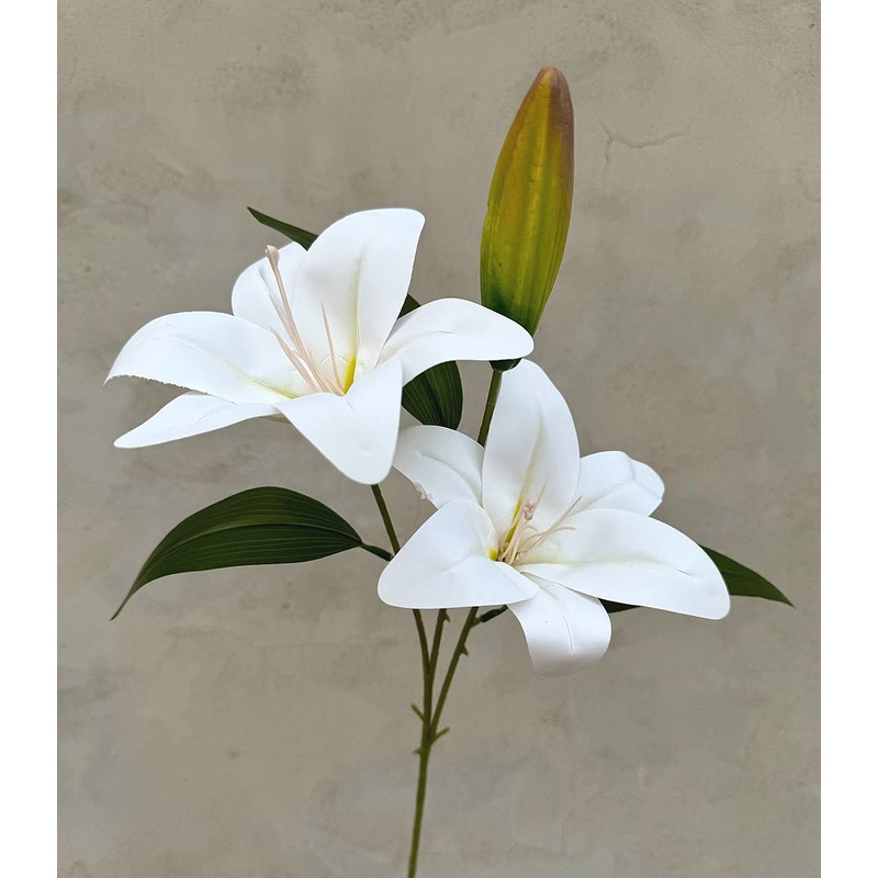 2頭百合❰白❱橘黃花苞,🦊~賣場商品眾多，歡迎參觀選購~🦊