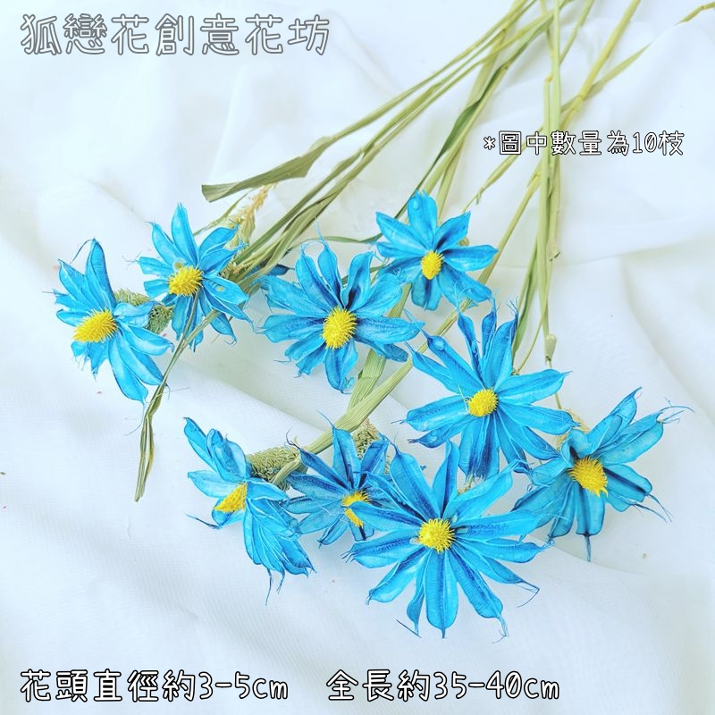 ❰藍❱小雛菊3朵,本頁面僅花頭不帶桿