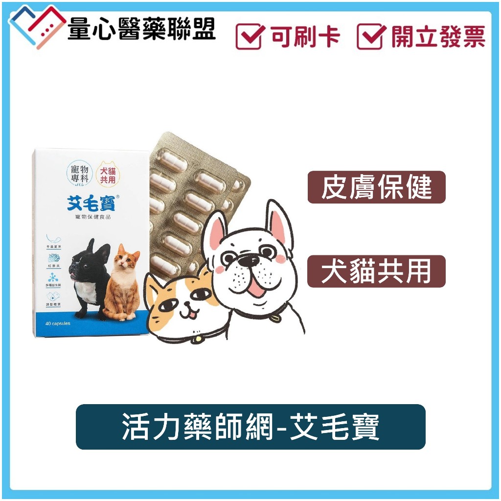 活力藥師網 艾毛寶 寵物皮膚 40粒/瓶 少賴皮 寵物洗毛精 寵物保健 狗 貓 毛小孩 保健品 量心醫藥聯盟
