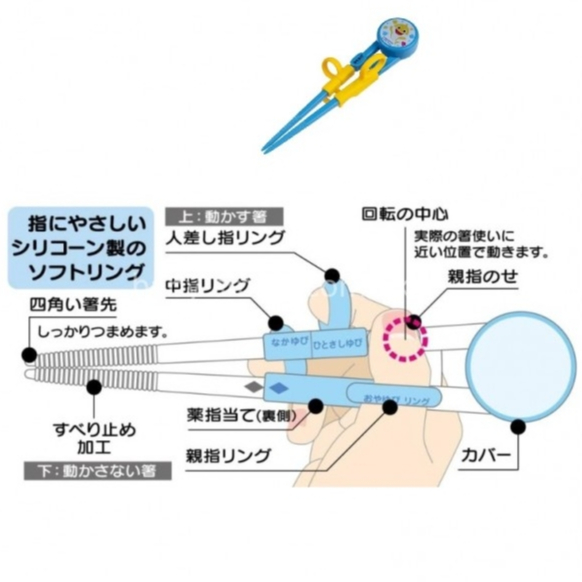 日本製Skater 鯊魚寶寶 兒童學習筷 (右手)
