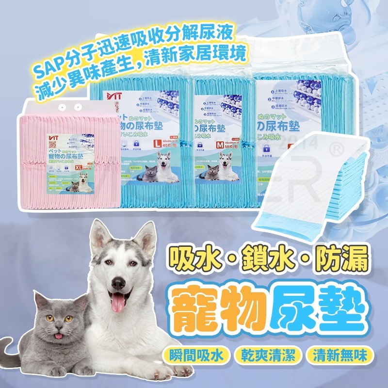 縮圖 1