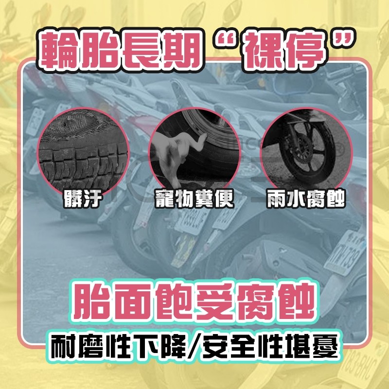 縮圖 3