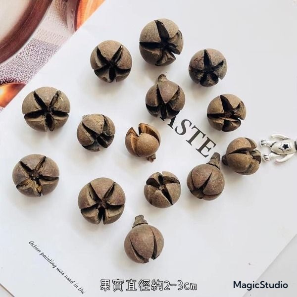 ❰原色❱大十字果,10顆以上出貨