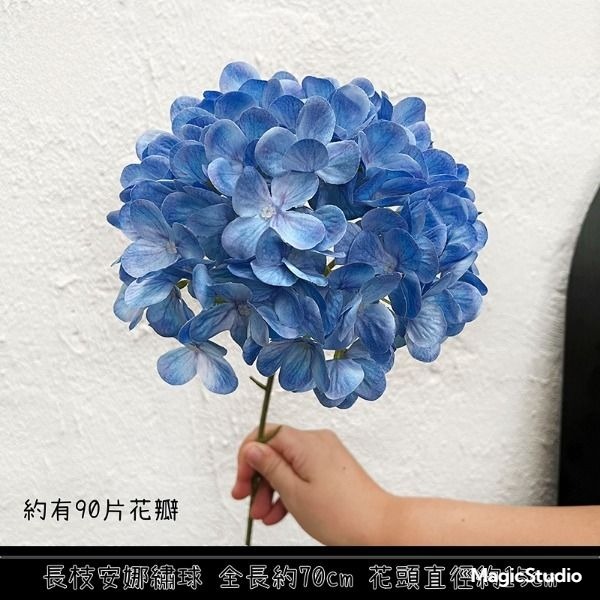 長枝安娜繡球❰天藍❱