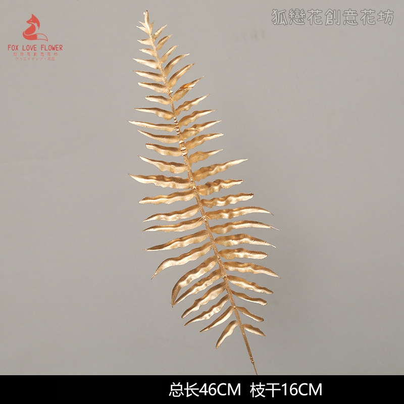 (金漆)單枝腎蕨葉(買1送1),🦊~賣場商品眾多，歡迎參觀選購~🦊