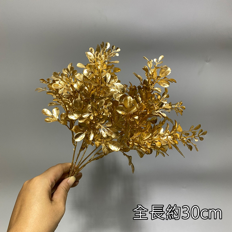 (金漆)短枝米蘭草(1束),🦊~賣場商品眾多，歡迎參觀選購~🦊
