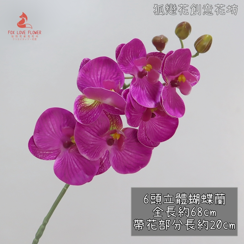 (新品特價)6頭蝴蝶蘭❰紫色❱,🦊~賣場商品眾多，歡迎參觀選購~🦊