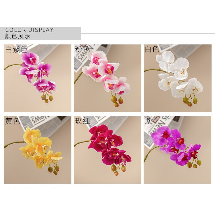 5頭手感蝴蝶蘭❰顏色隨機❱,🦊~賣場商品眾多，歡迎參觀選購~🦊