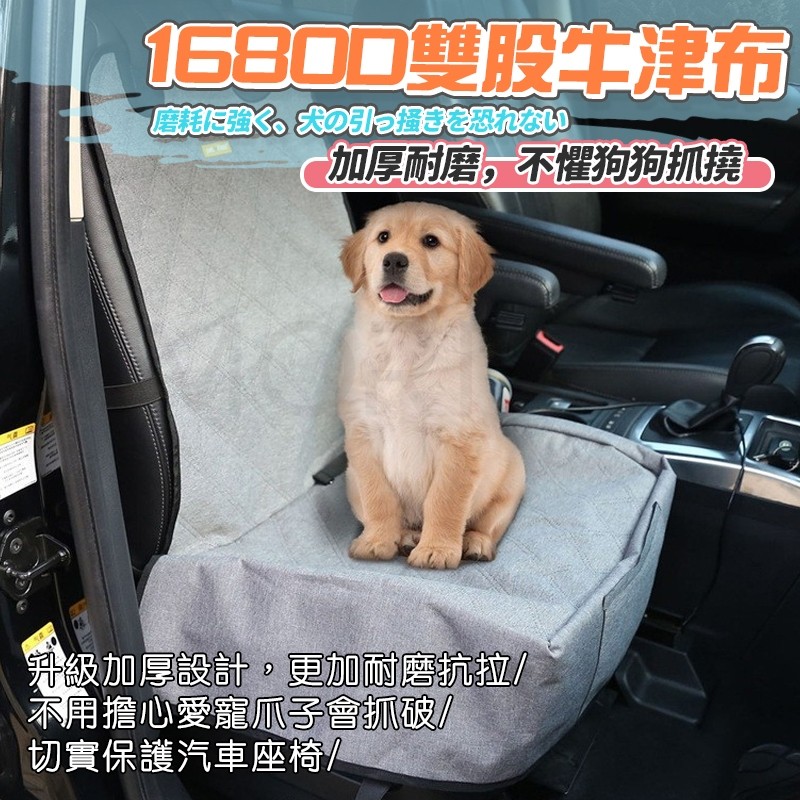 縮圖 7