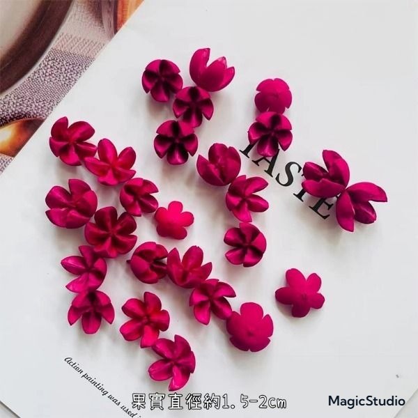 ❰桃紅❱小十字果,10顆以上出貨