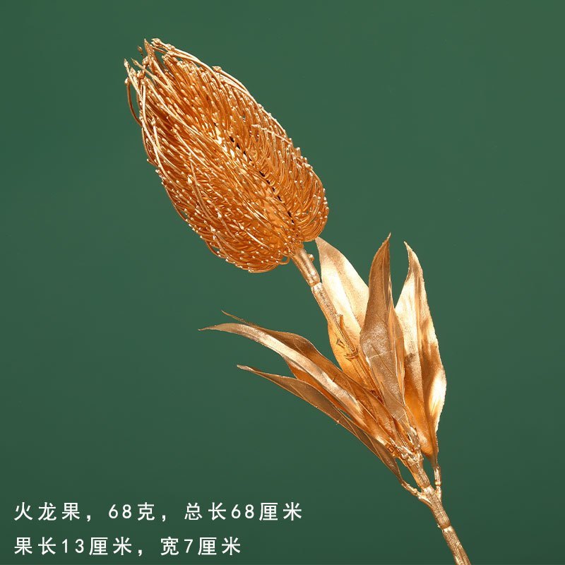 (金漆)火龍果,🦊~賣場商品眾多，歡迎參觀選購~🦊