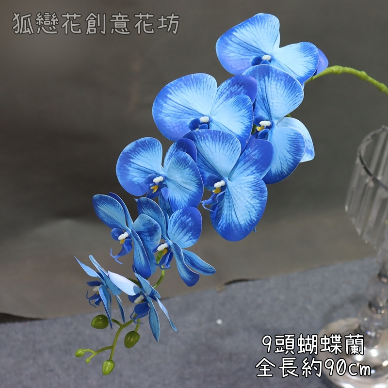 (新品特價)9頭蝴蝶蘭❰藍❱,🦊~賣場商品眾多，歡迎參觀選購~🦊