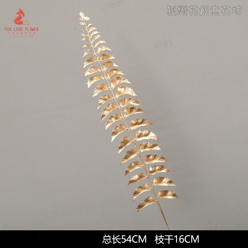 (金漆)單支鐵線蕨(買1送1),🦊~賣場商品眾多，歡迎參觀選購~🦊