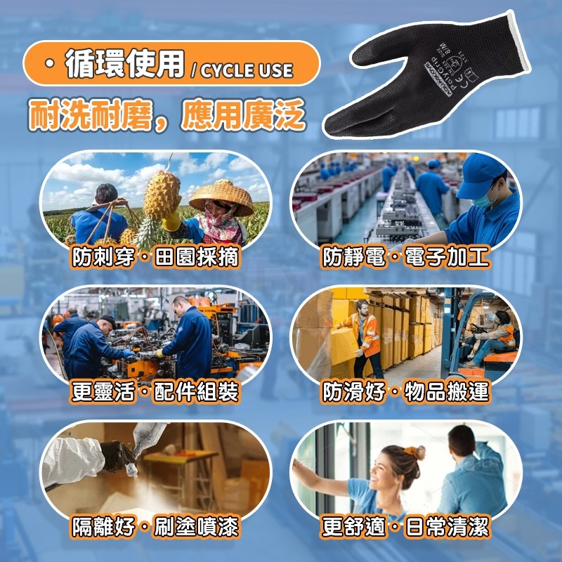 縮圖 3