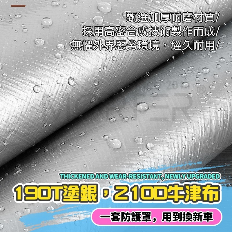 縮圖 7