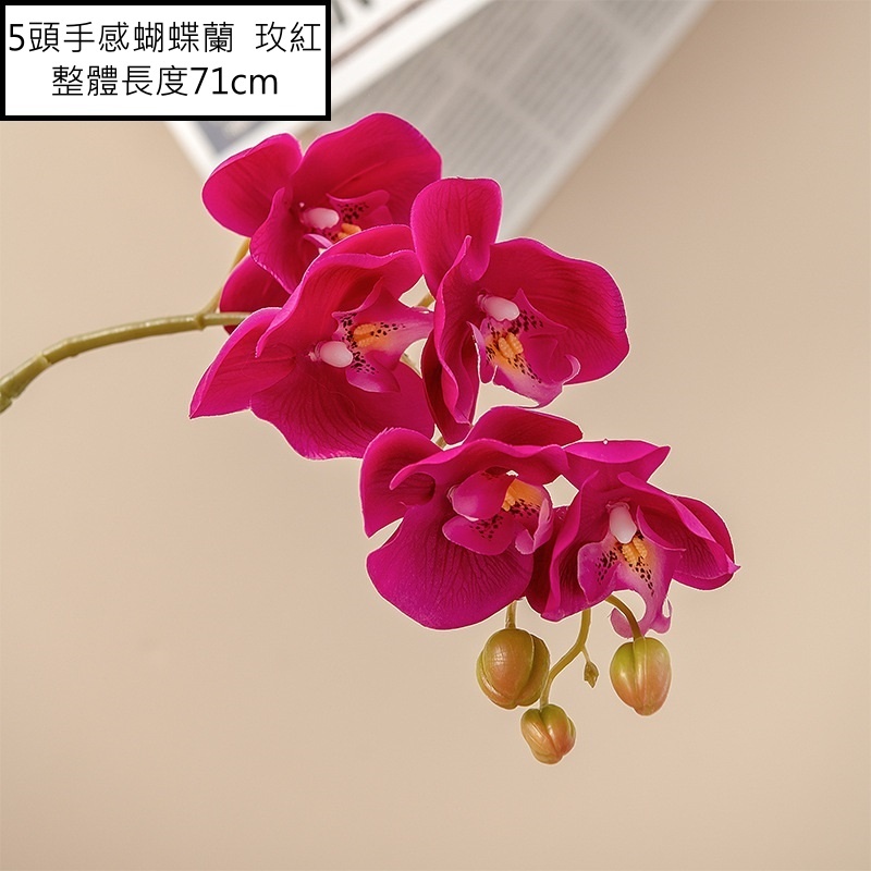 5頭手感蝴蝶蘭❰玫紅❱,🦊~賣場商品眾多，歡迎參觀選購~🦊