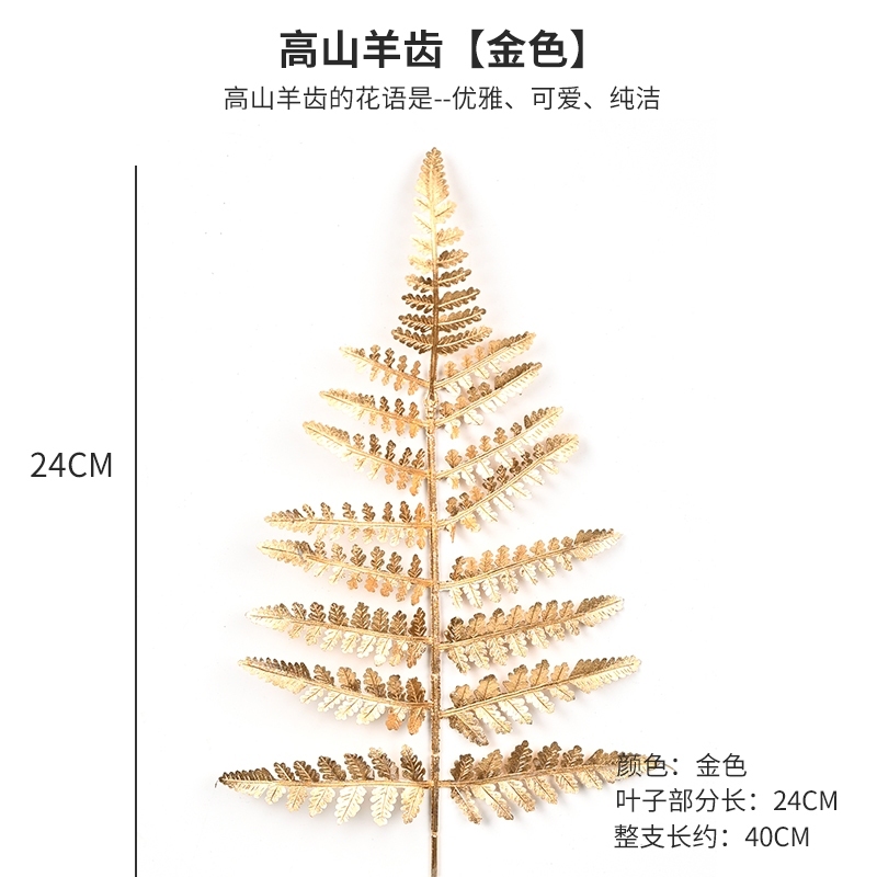 (金漆)短枝高山羊齒(買1送1),🦊~賣場商品眾多，歡迎參觀選購~🦊