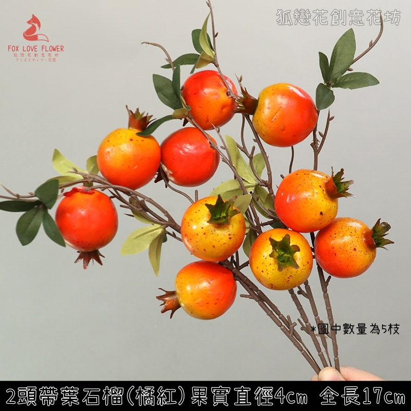 2頭帶葉橘石榴(1枝),🦊~賣場商品眾多，歡迎參觀選購~🦊
