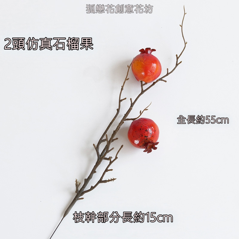 2頭無葉石榴(1枝),🦊~賣場商品眾多，歡迎參觀選購~🦊