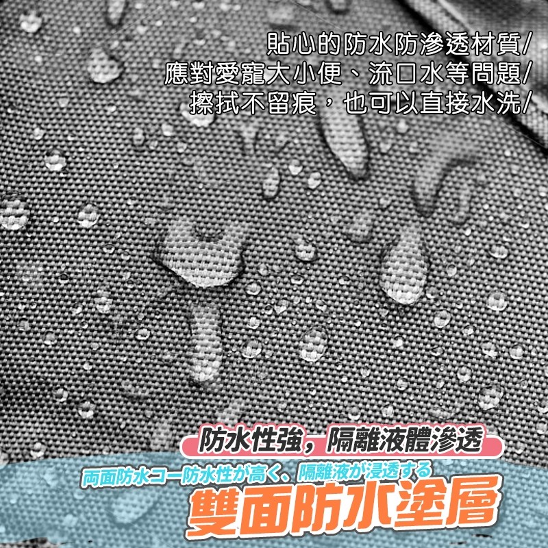 縮圖 6