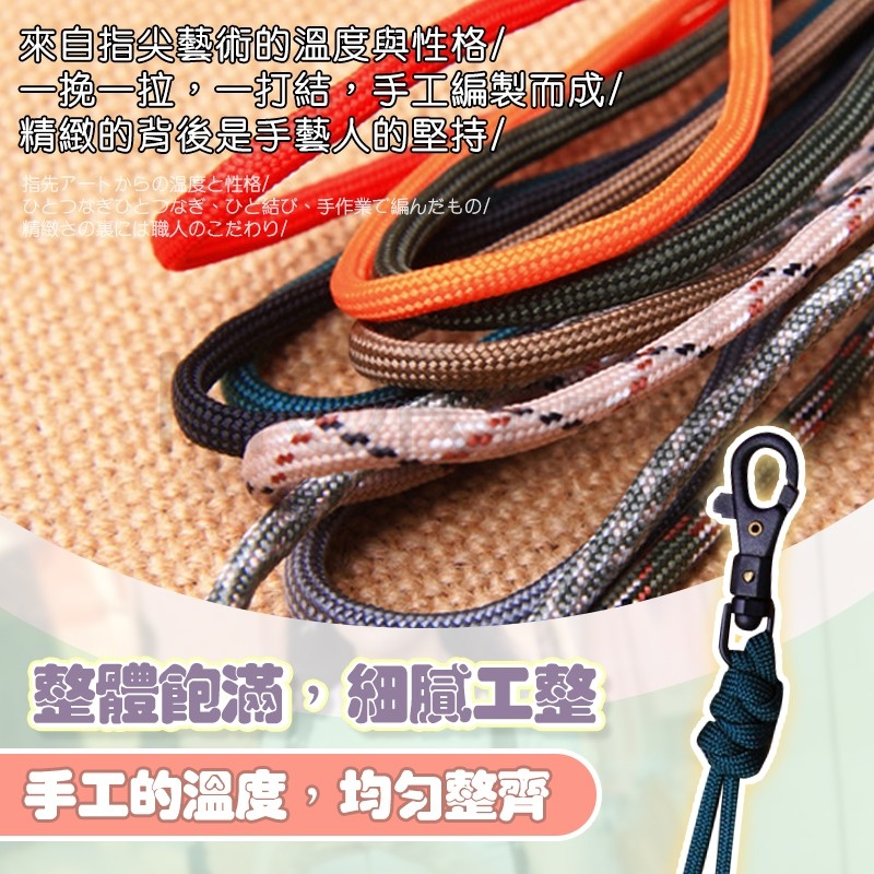 縮圖 8