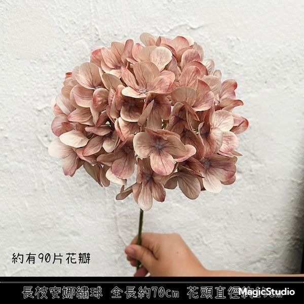 長枝安娜繡球❰咖啡❱