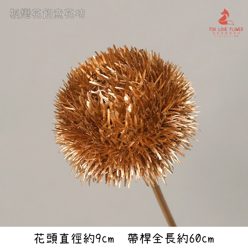 (金漆)單枝雪絨球(1枝),🦊~賣場商品眾多，歡迎參觀選購~🦊