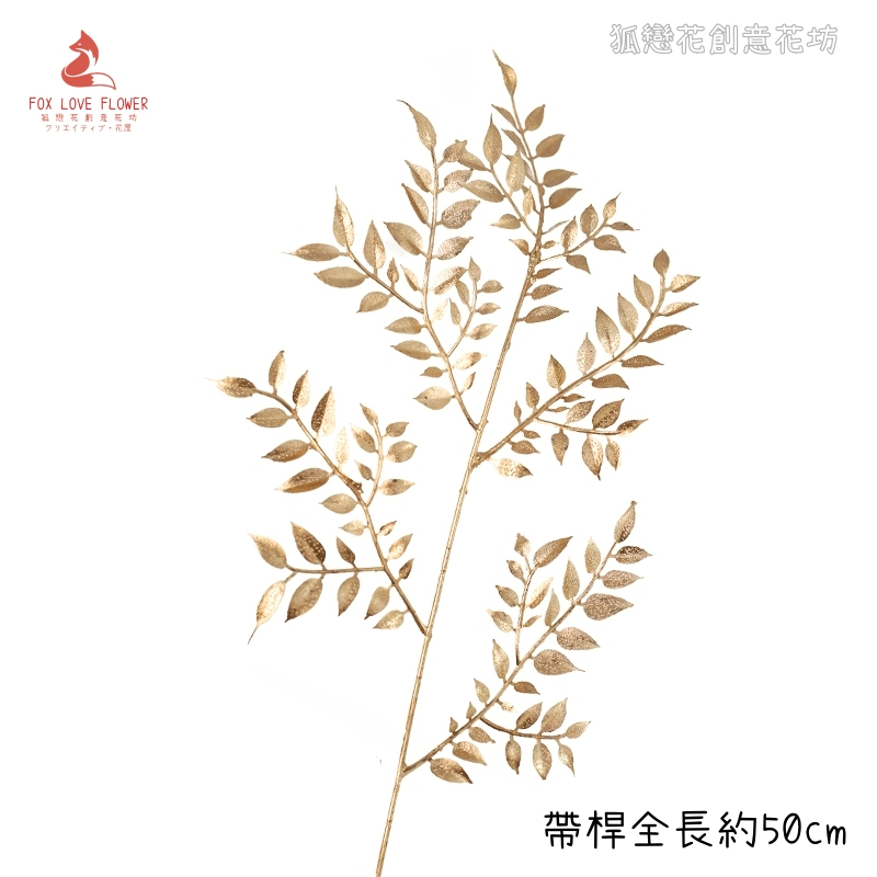 (金漆)短枝富貴葉(1枝),🦊~賣場商品眾多，歡迎參觀選購~🦊