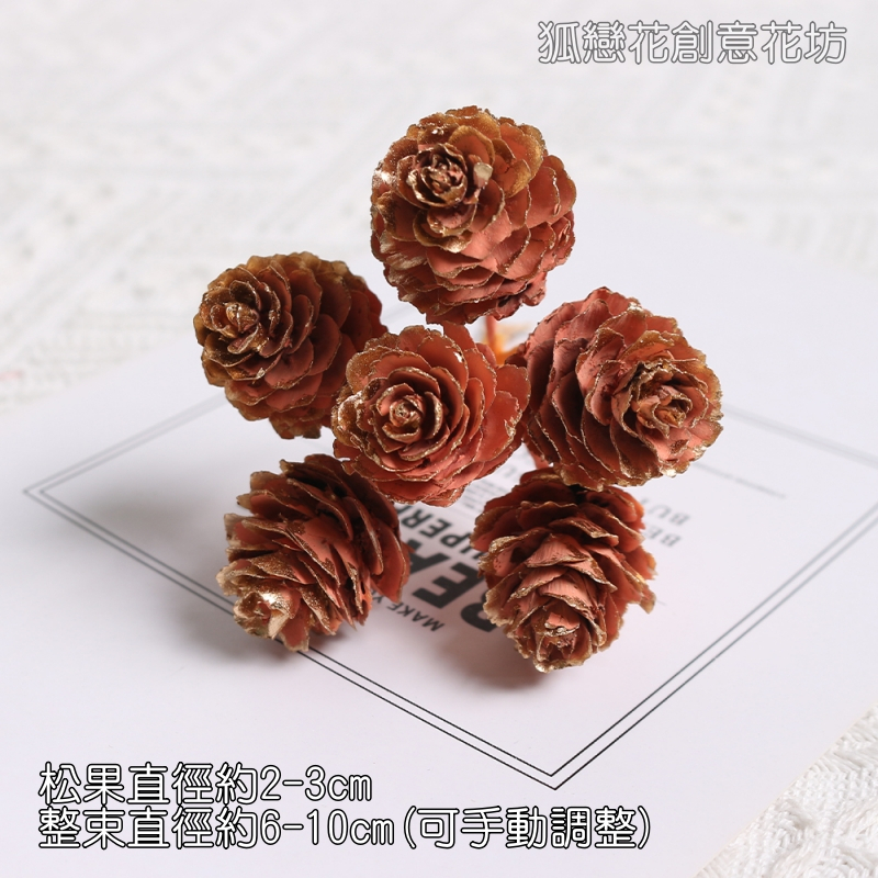 ❰橙金❱落葉松果串(1束6枝)