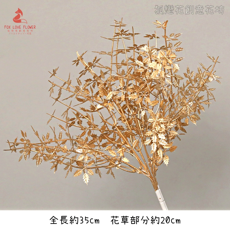 金漆｜短枝玫瑰草（1束）