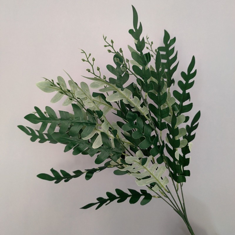 綠色槐葉