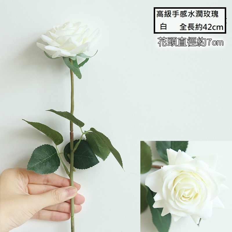 水潤角玫瑰❰白色❱