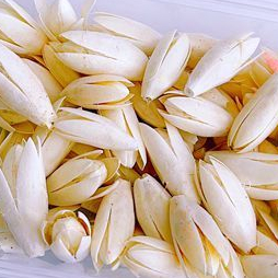 白色玉蘭果(10顆)