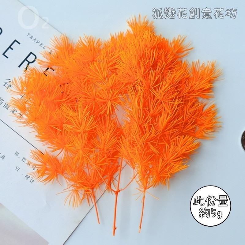 ❰橘色❱蓬萊松(5g),🦊~賣場商品眾多，歡迎參觀選購~🦊