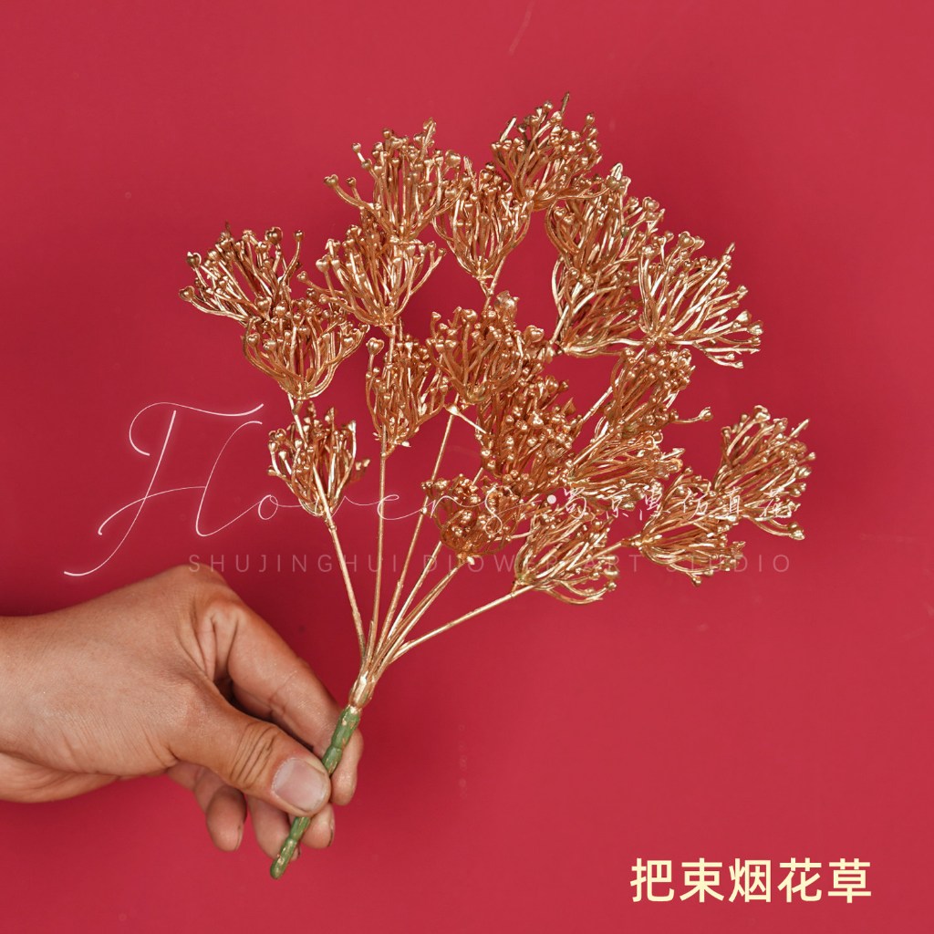 (金漆)煙花草